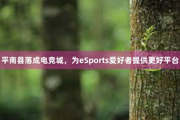 平南县落成电竞城，为eSports爱好者提供更好平台